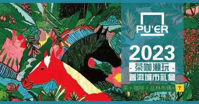 普洱“茶咖潮玩”引领多元化旅游打开方式
