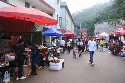 走！到墨江新安赶gai克啦