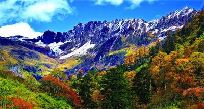 有一种生活叫云南的怒江丨观鸟季 去怒江看山谷精灵