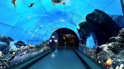  休闲玉溪 纯净之地｜抚仙湖一日游，休闲亲水、研学之旅