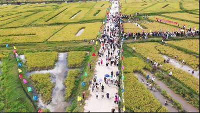 “双节”接待166万人次！保山文旅市场火爆有序