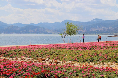 休闲玉溪 纯净之地｜抚仙湖、红塔山、哀牢山、红河谷四日游精华之旅