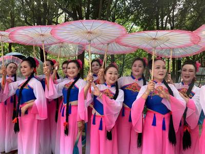 游花海、观花展、崴花灯 嵩明的“花花世界”等你来