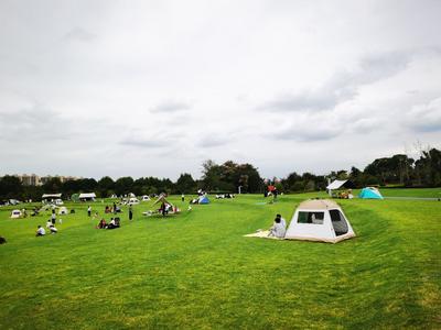 疏堵保畅、排忧解难、优化服务——多地积极探索提升假日旅游体验