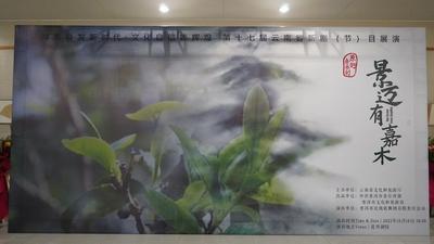 讲述人与茶的故事 音乐剧《景迈有嘉木》在昆精彩上演