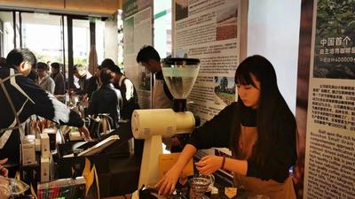 “大咖云集·啡比寻常” 国际精品咖啡产业发展大会在保山开幕
