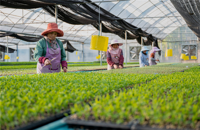 预告 | 2023云南·元谋第七届蔬菜种业博览会新闻发布会即将召开