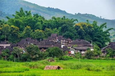 激活文旅发展潜力 普洱、西双版纳两地加强联动开发旅游产品