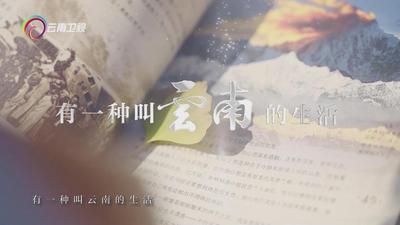 云南：以旅为媒、以旅促融，谱写旅游促进各民族交往交流交融的云南新篇章