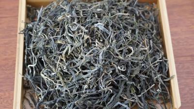 听云南 | 赴茶香双江 品冰岛香茗