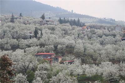 云南：以文旅融合赋能乡村振兴