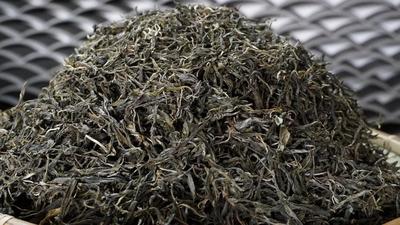 听云南 | 赴茶香双江 品冰岛香茗