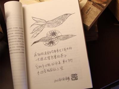 从恋歌到漫歌