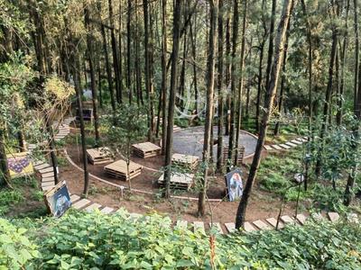“昆明郊野秘境视觉盛宴——云南生物多样性微距摄影展、云南大学艺术与设计学院景观艺术装置展”即将开展