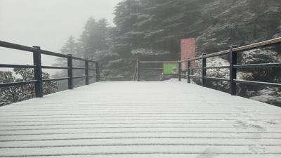冷҈冷҈冷҈ 昆明轿子山下雪啦！接下来几天云南天气……
