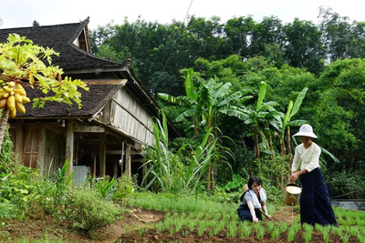 公示中！西双版纳3地入选2023年云南省最美乡愁旅游地拟认定名单