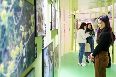 《什么是云南》主题摄影展启幕 “有一种叫云南的生活”出圈到上海