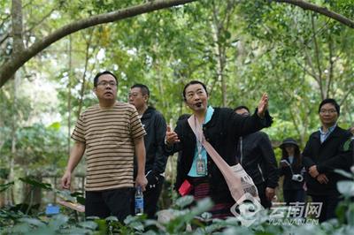 【全国知名影视专家“看”云南】宋方金：云南是一个出故事的好地方