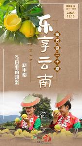 乐享云南 | 好礼·新平橙