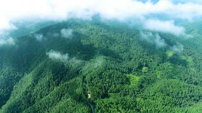 楚雄永仁永兴傣族乡：守护绿水青山 共享生态红利
