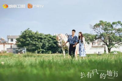 2.6亿！冲上热搜第一！大理拟补助《去有风的地方》200万元为何全网关注？