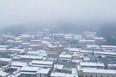 当北回归线飘起雪花