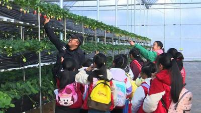 玉溪2家单位入选云南省文化和旅游行业标准化试点培育单位名单！