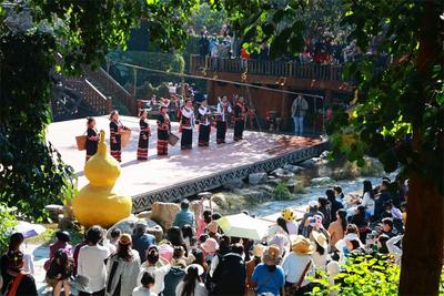 就地寻年味 普洱不打烊丨走拉祜乡村玩乐过年 游景迈山茶林观世遗