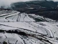 当北回归线飘起雪花