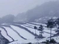 当北回归线飘起雪花