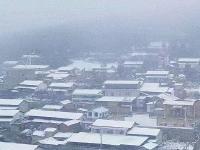 当北回归线飘起雪花