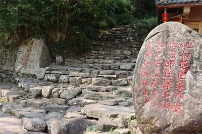 茶马古道焕新颜：那柯里成为农文旅融合新“靓”点