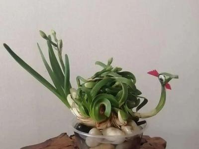 文旅迎春过大年丨春来花事忙，昆明郊野公园邀您赴一场春之约