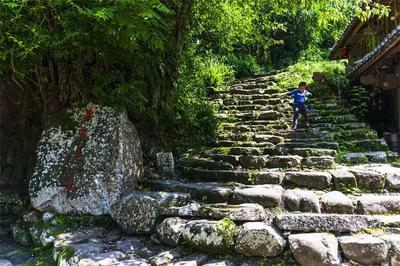 茶马古道焕新颜：那柯里成为农文旅融合新“靓”点