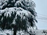 当北回归线飘起雪花