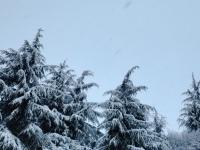 当北回归线飘起雪花