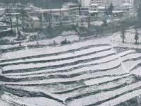 当北回归线飘起雪花