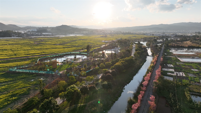建水县2024年稻田音乐节：一次回归田园的旅行