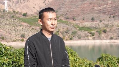 楚雄永仁：金沙傣寨 释迦丰收“迦”倍香甜