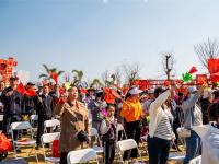 图集丨春风拂面时，听一场稻田里的音乐会