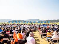 图集丨春风拂面时，听一场稻田里的音乐会