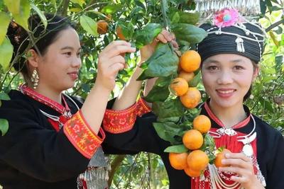 三月游西双版纳，这些节庆活动好吃、好玩、好看