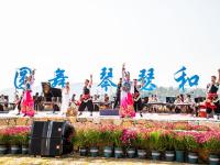 图集丨春风拂面时，听一场稻田里的音乐会