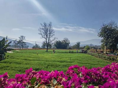 【关注】云南西部旅游市场持续火热！