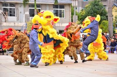 来玉溪过“村节”丨“玉溪村节”中的非遗——元江傣族狮子舞