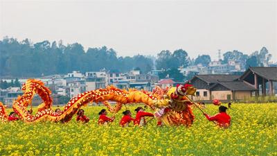 龙腾狮跃游花田 欢欢喜喜过大年！建水双龙桥稻田公园舞龙舞狮活动精彩上演
