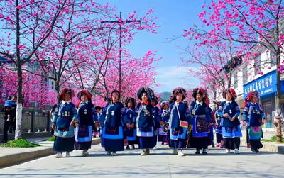 节庆玉溪丨新平县2024年赏花节暨千桌万人磨盘宴系列活动预告来啦！