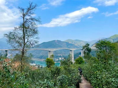 春茶季游临沧 | 临沧佤山寻茶生态旅游精品线路