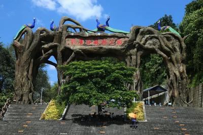 听云南 | 芒市孔雀谷森林公园 完美呈现人与动物和谐相处画卷
