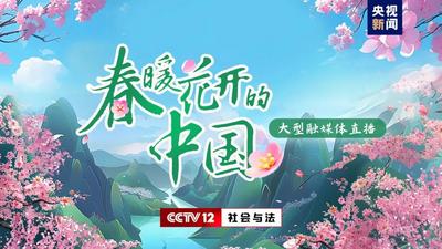 上新！第二波云南专属春日明信片赶紧收藏